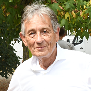 Ad van den Wijngaart